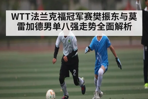 WTT法兰克福冠军赛樊振东与莫雷加德男单八强走势全面解析